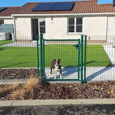 Wh65 Gezellig 4pers. Koksijde