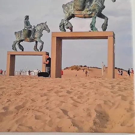 Wh65 Gezellig 4pers. Koksijde