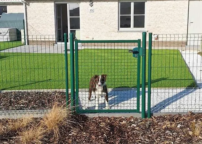 Wh65 Gezellig 4pers. Koksijde